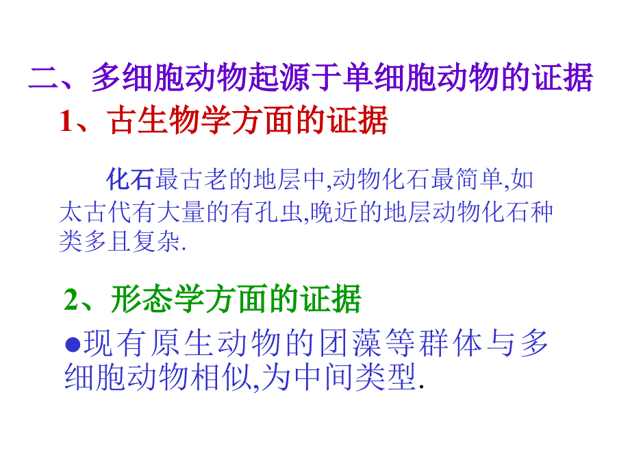 多细胞起源课件_第4页