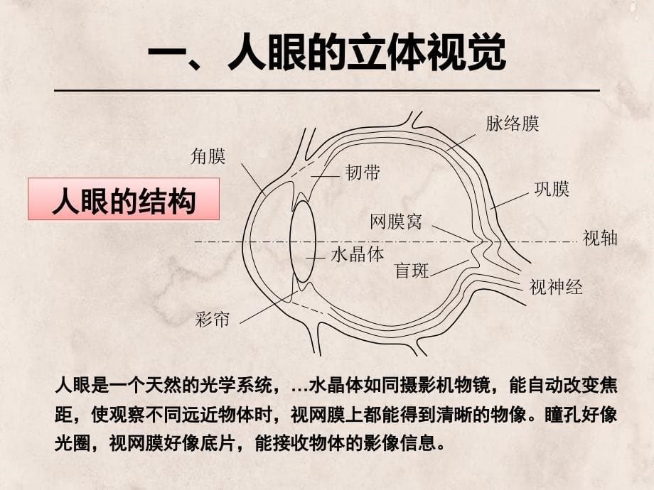 《摄影测量学》第三章双像立体测图_第5页