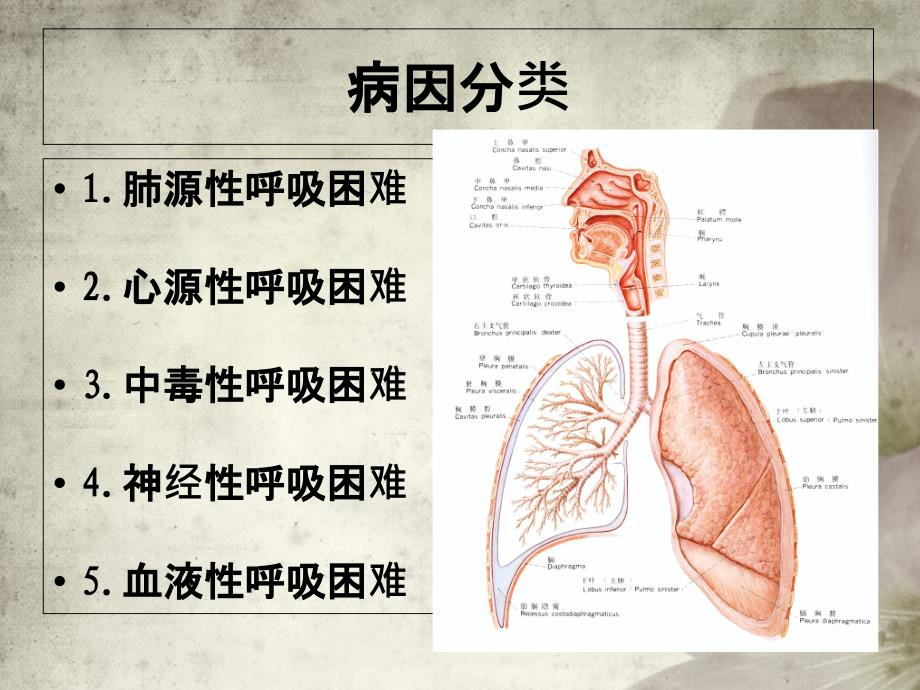 医学课件呼吸困难的医疗护理_第4页