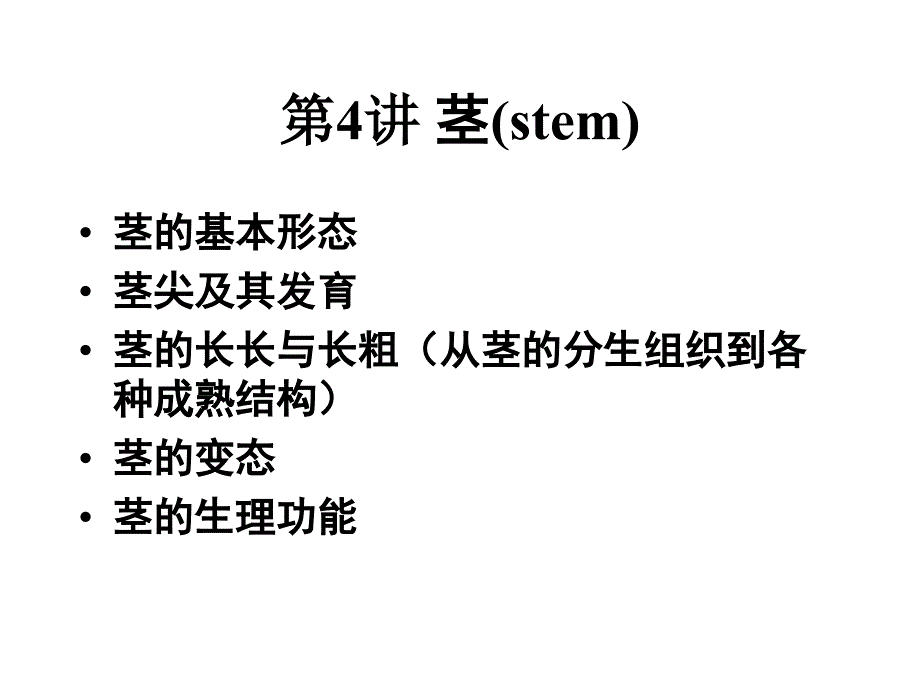 植物学教学课件：第4讲 茎(stem)_第1页