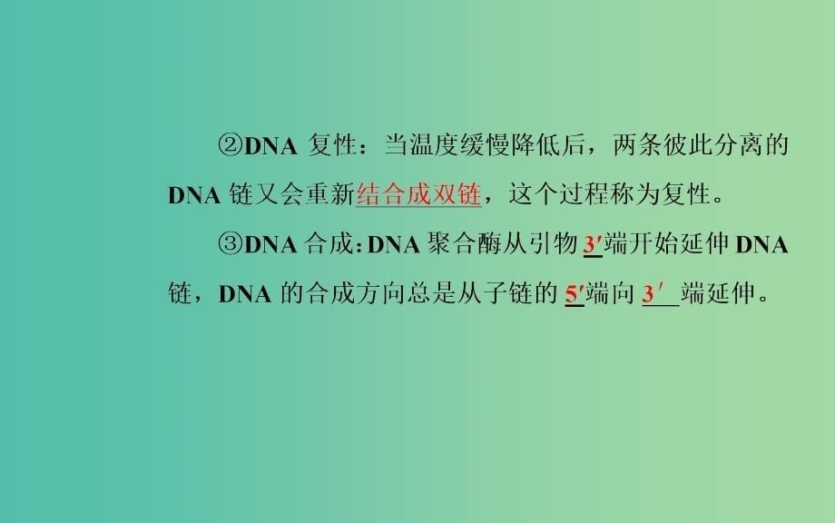 高中生物 专题5 DNA和蛋白质技术 课题2 多聚酶链式反应扩增DNA片段课件 新人教版选修1.ppt_第5页