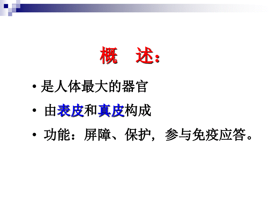 刘芬组织学与胚胎学第11章皮肤芬课件_第3页