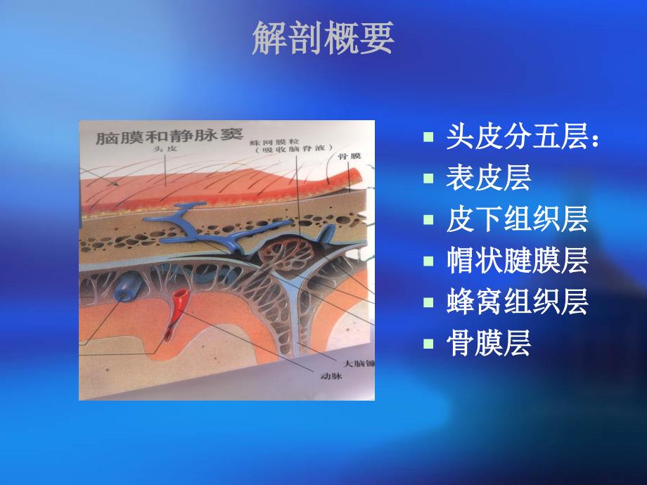 第十一章颅脑损伤病人的护理_第4页