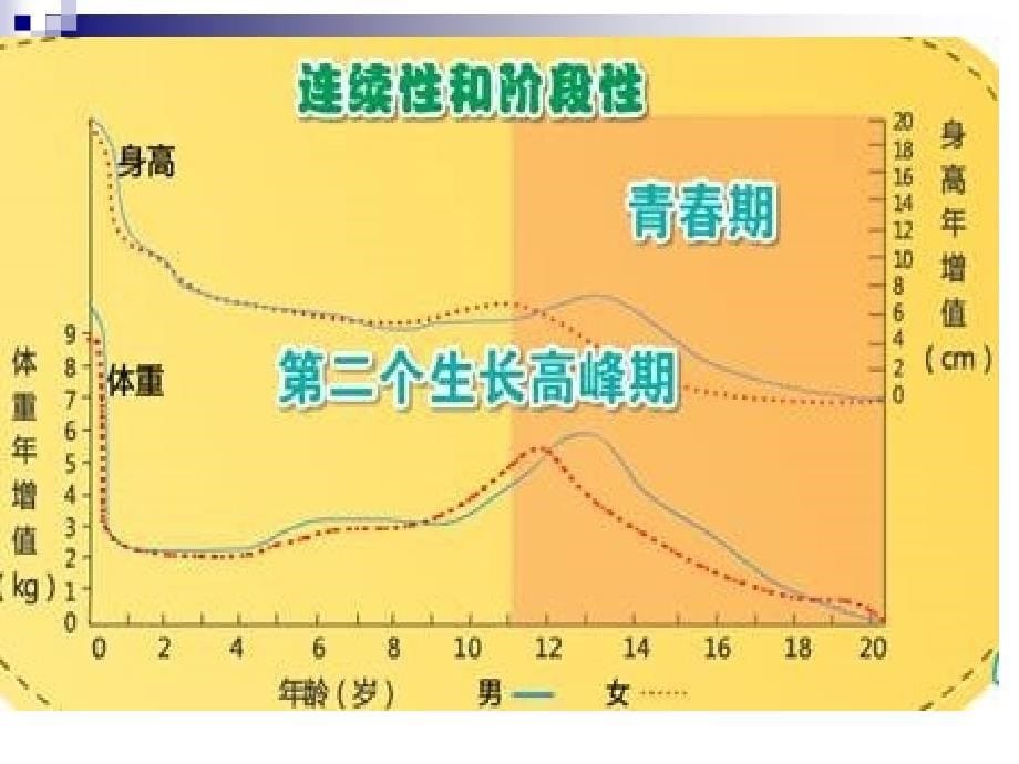 A流金岁月---_第5页