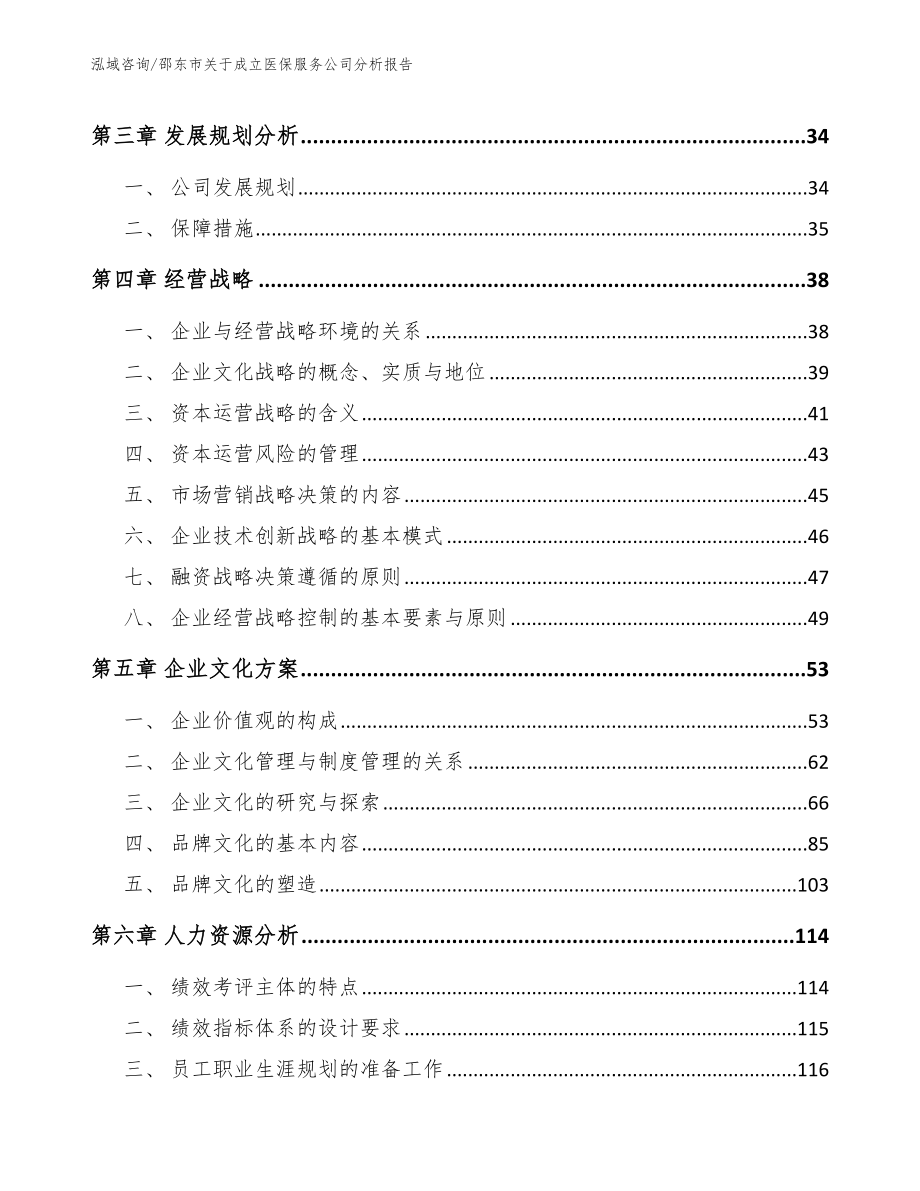 邵东市关于成立医保服务公司分析报告模板参考_第3页