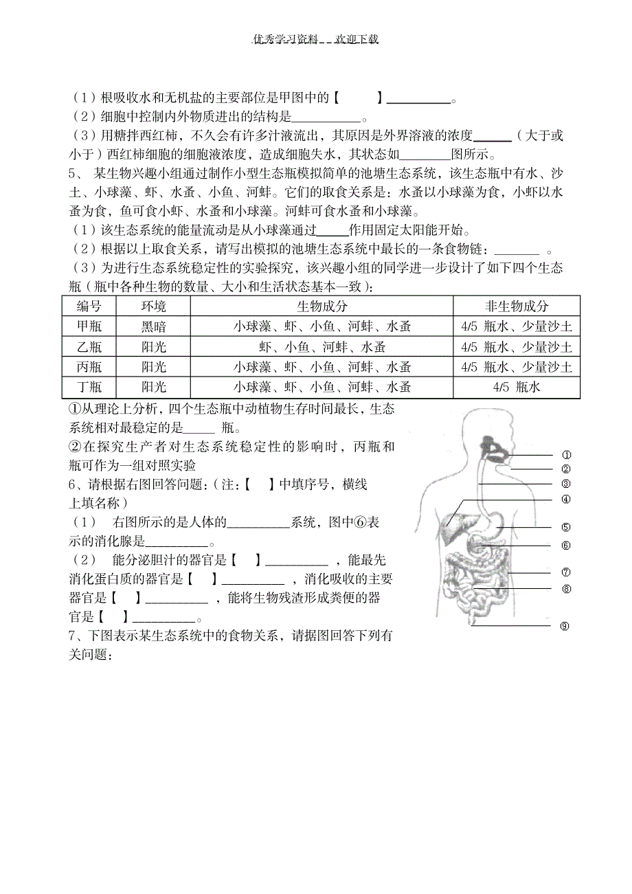 七年级生物上册复习题_小学教育-小学考试_第4页