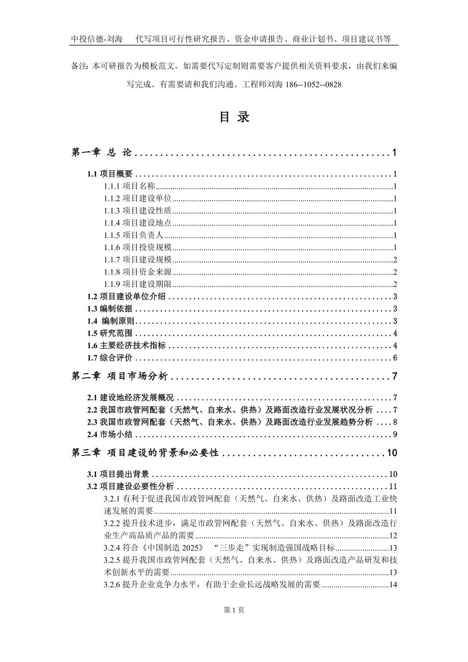 市政管网配套（天然气、自来水、供热）及路面改造项目资金申请报告写作模板定制_第3页