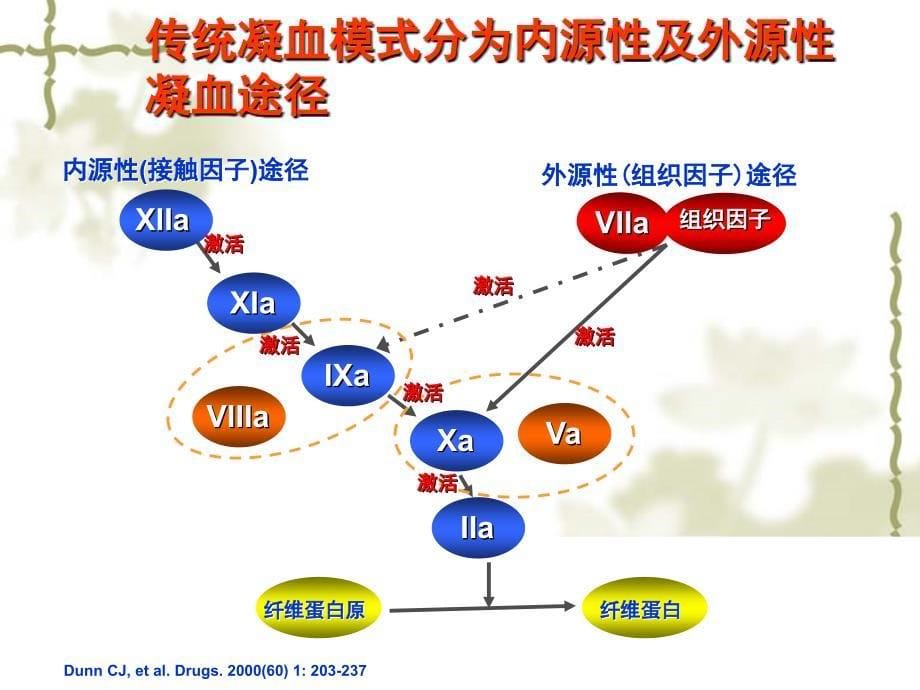 凝血机制与抗凝药物的新视点_第5页