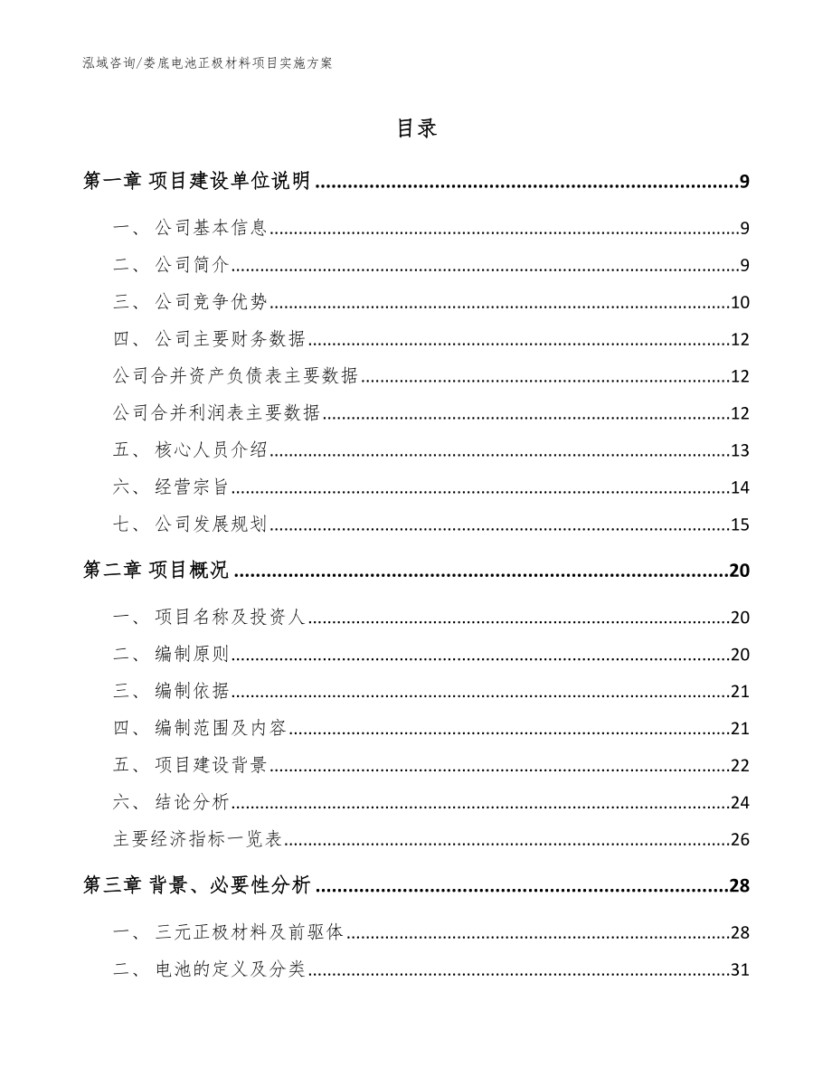 娄底电池正极材料项目实施方案（范文）_第1页