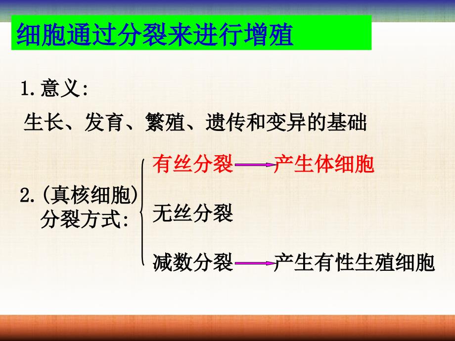 周细胞的增殖2_第2页