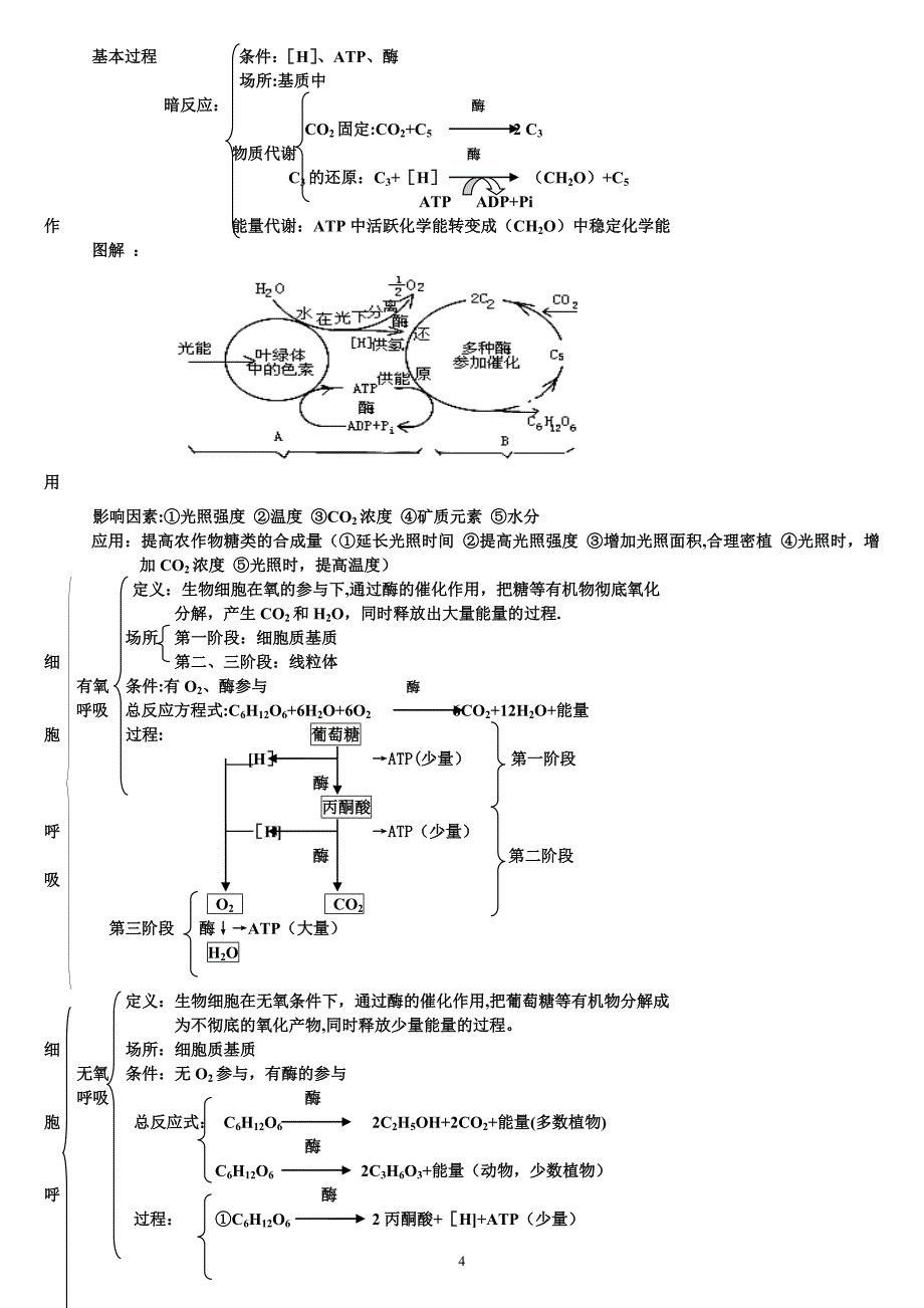 好-高中生物会考、高考知识点总结与归纳整理(知识主干).doc_第4页