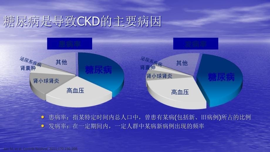 糖尿病肾病的血糖管理PPT讲稿课件_第5页