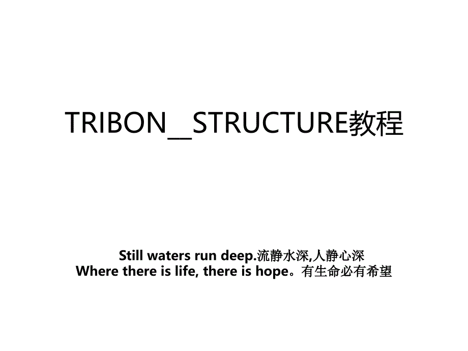 TRIBONSTRUCTURE教程_第1页