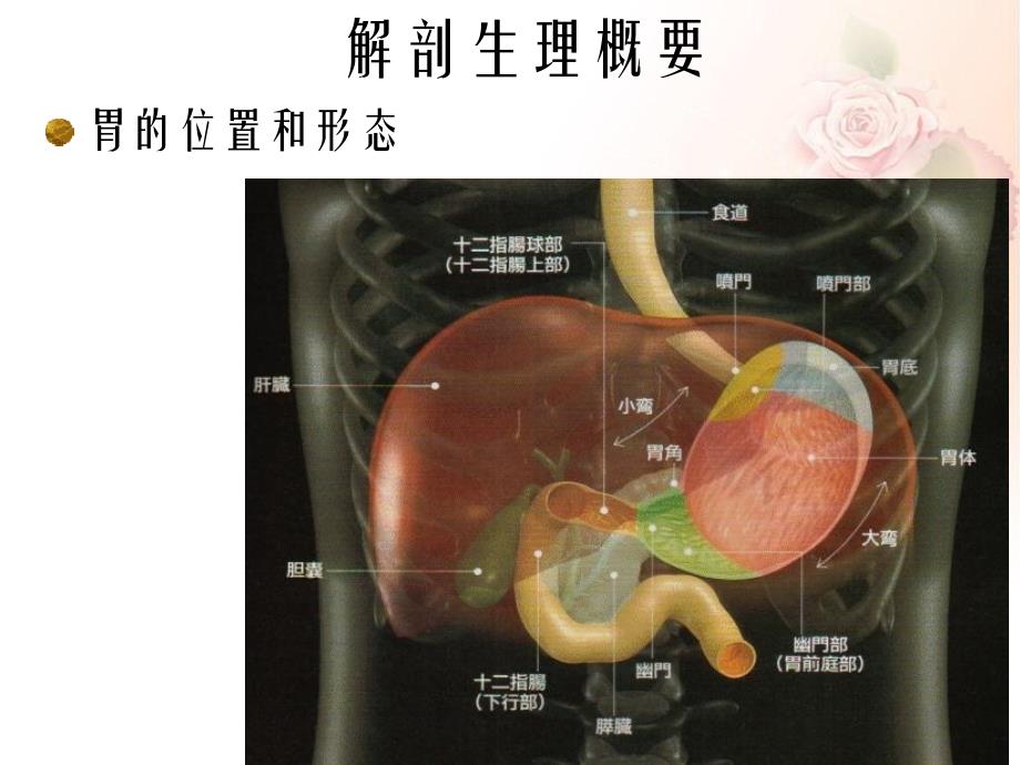 胃十二指肠疾病简介_第4页