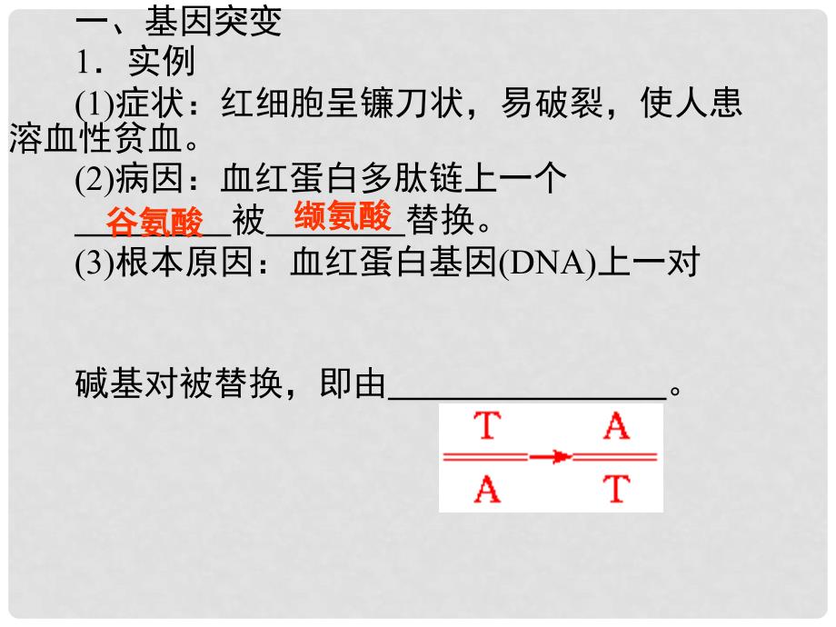 高考生物 艺术生精品提分秘籍 专题十一 生物的变异课件_第2页