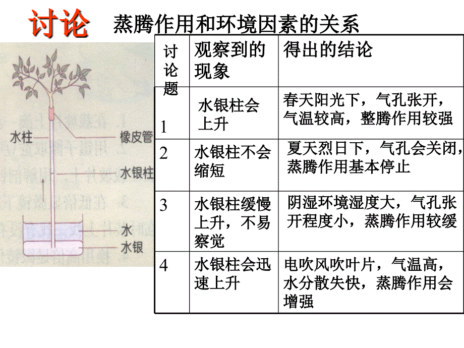 叶的蒸腾作用_第4页