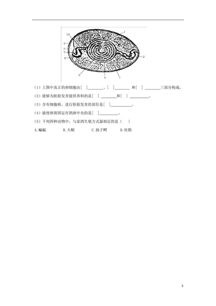 八年级生物上册4.2.3鸟的生殖和发育导学案2无答案新版济南版_第5页