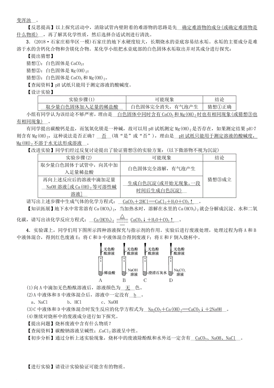 河北省九年级化学下册 专题复习四实验探究题习题 新版新人教版_第2页