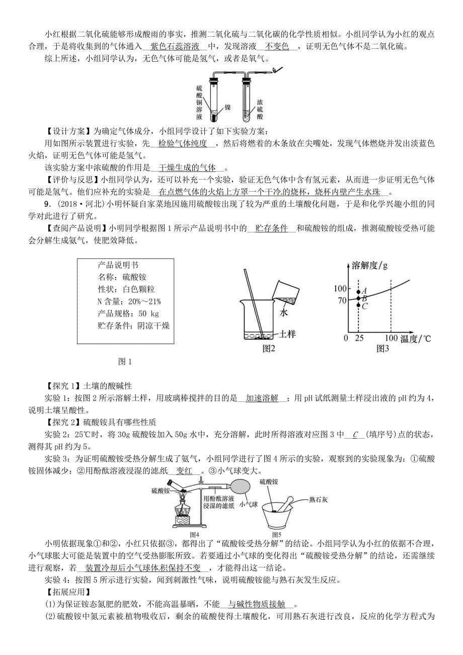 河北省九年级化学下册 专题复习四实验探究题习题 新版新人教版_第5页