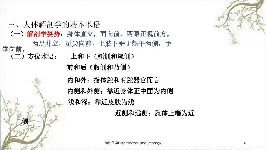 绪论骨学GeneralIntroductionOsteology_第4页