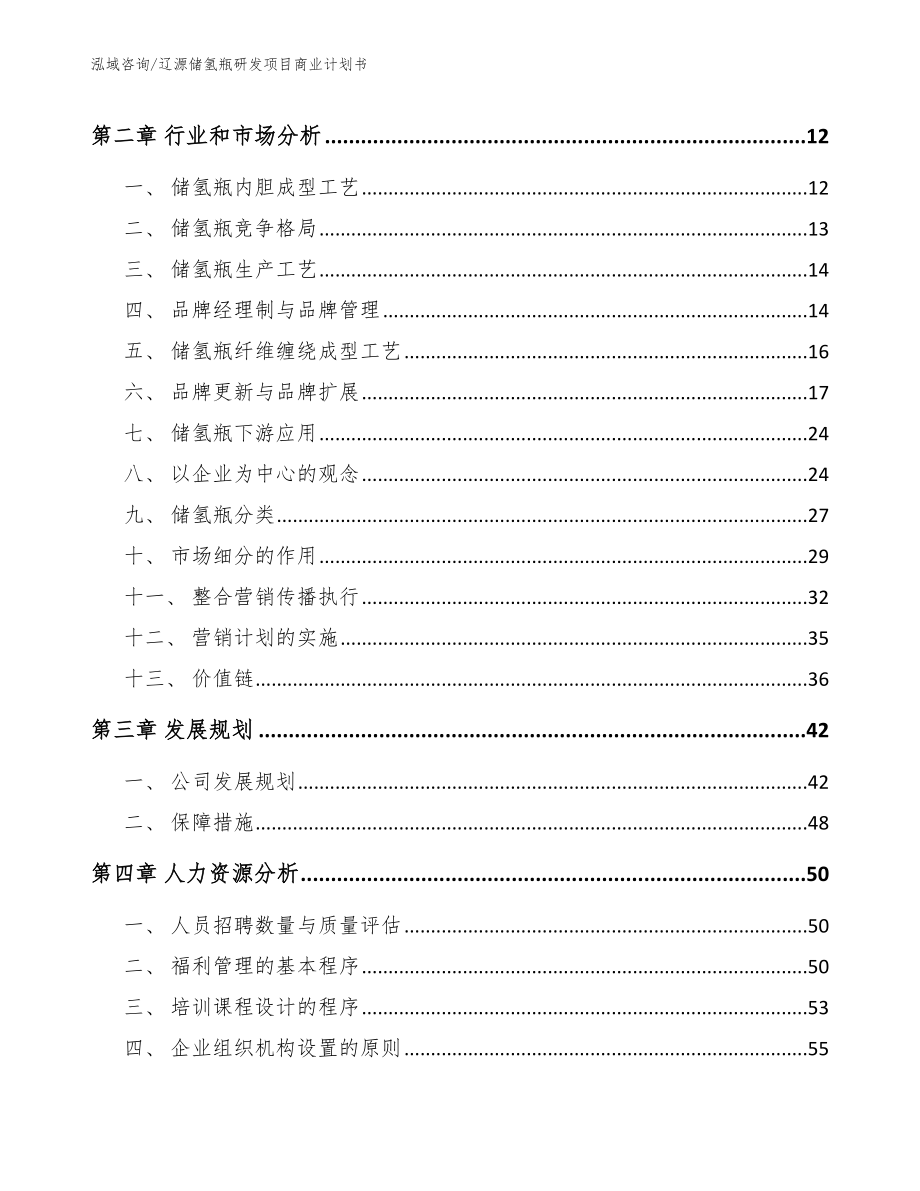辽源储氢瓶研发项目商业计划书_第4页