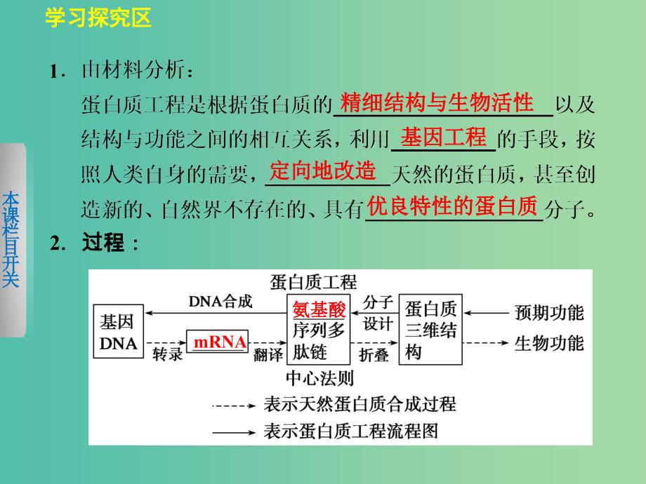 高中生物 4.4 蛋白质工程的崛起课件 北师大版选修3.ppt_第4页