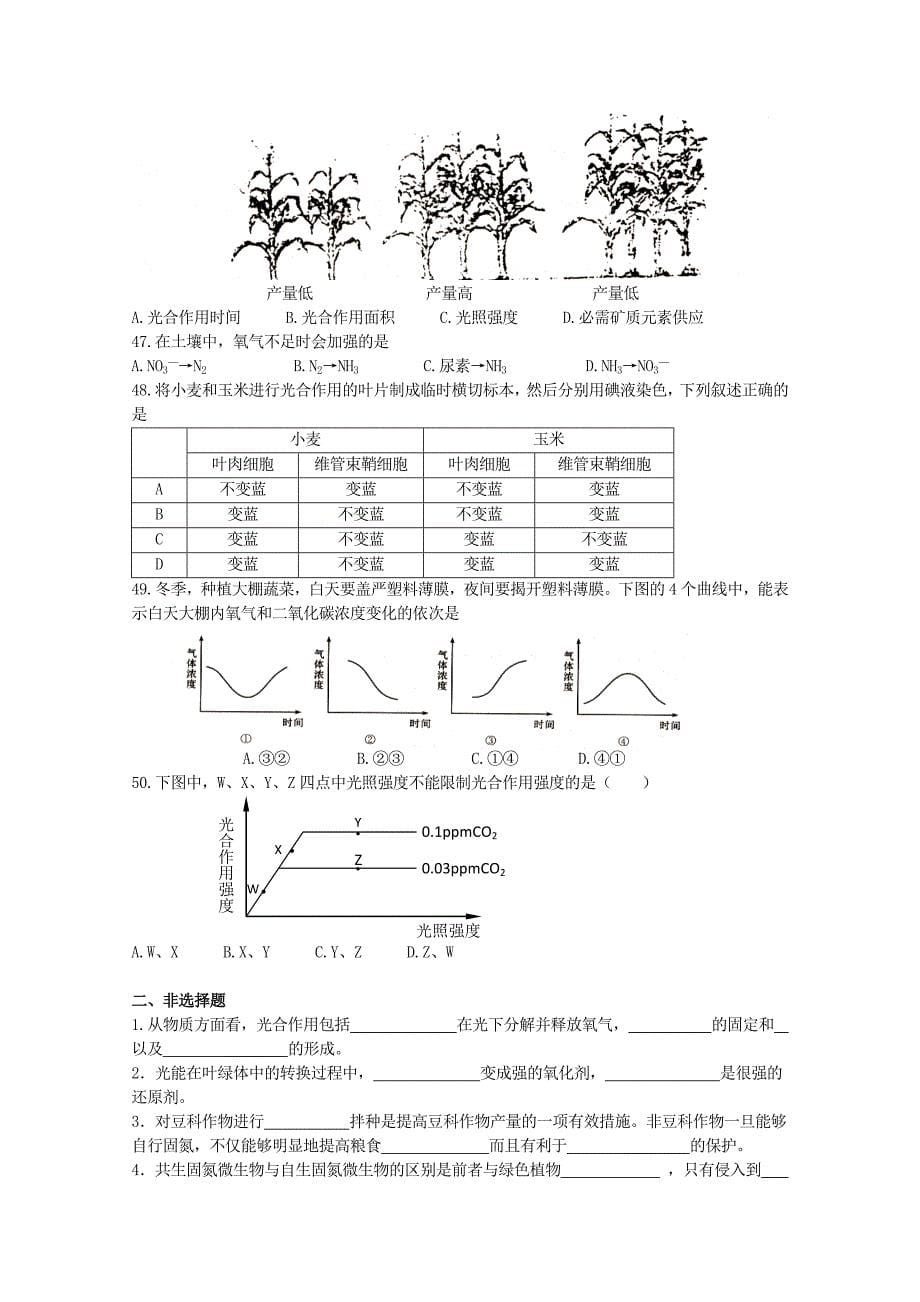 高三生物光合作用和生物固氮测试旧人教版_第5页