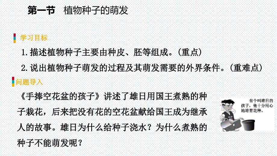 讲解PPT第五章第一节植物种子的萌发_第3页