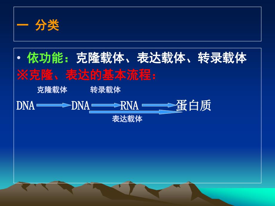 基因工程载体ppt课件_第2页