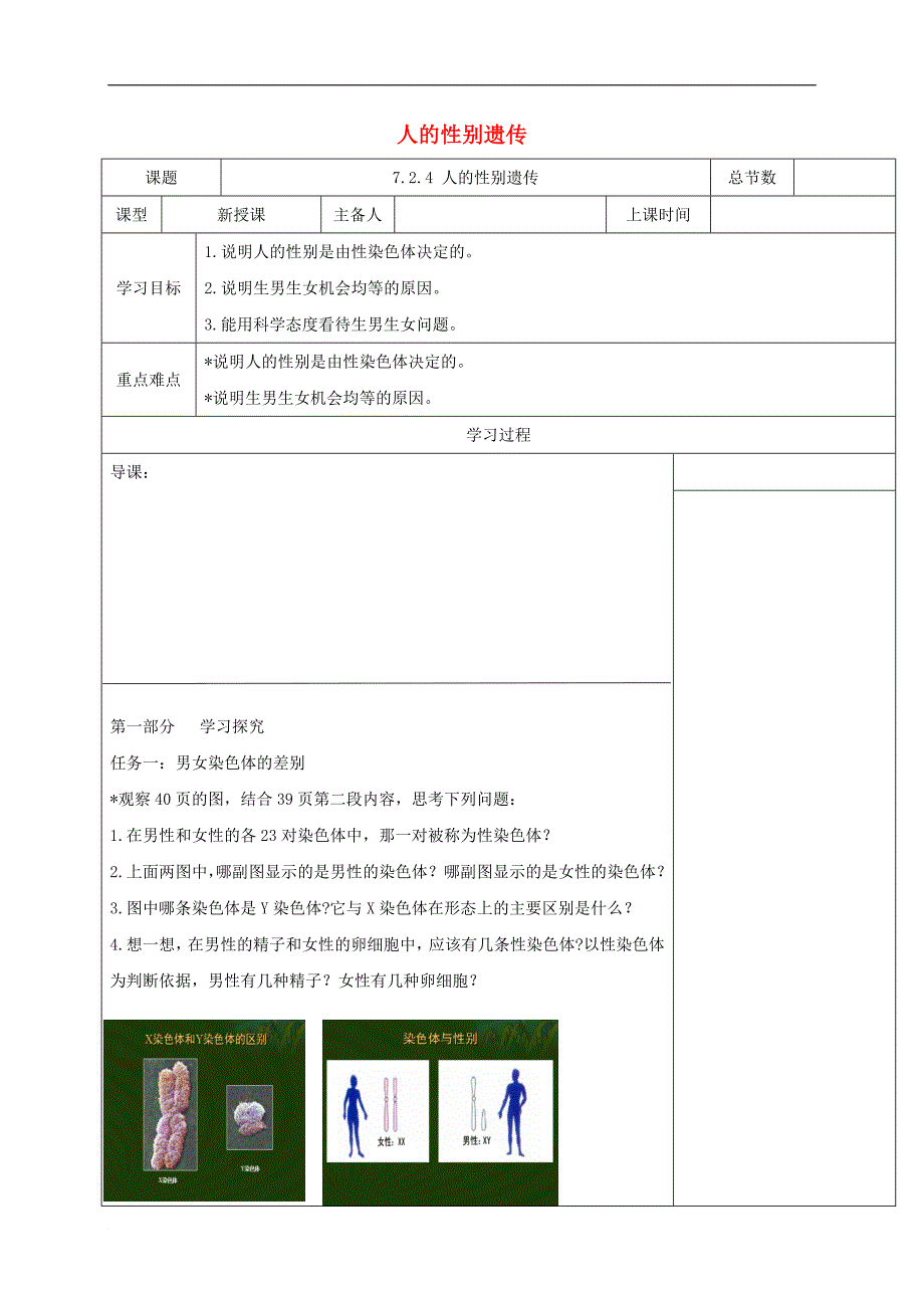 八年级生物下册 7.2.4 人的性别遗传学案（无答案）（新版）新人教版_第1页