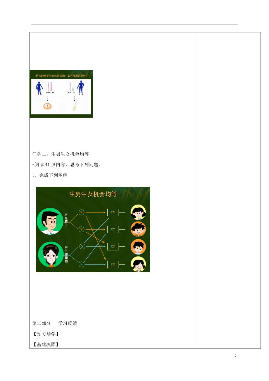 八年级生物下册 7.2.4 人的性别遗传学案（无答案）（新版）新人教版_第2页