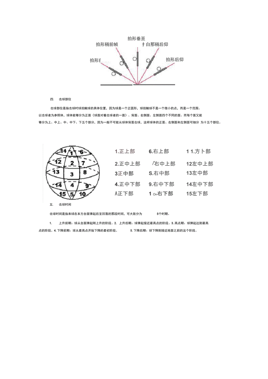 乒乓球入门技术_第2页