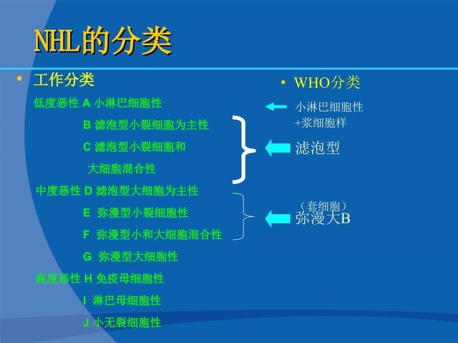 非霍奇金淋巴瘤诊疗指南_第5页