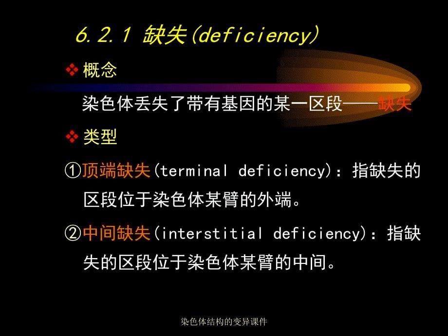 染色体结构的变异课件_第5页