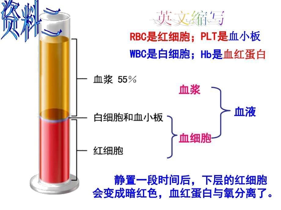 第四章第一节流动的组织——血液_第5页