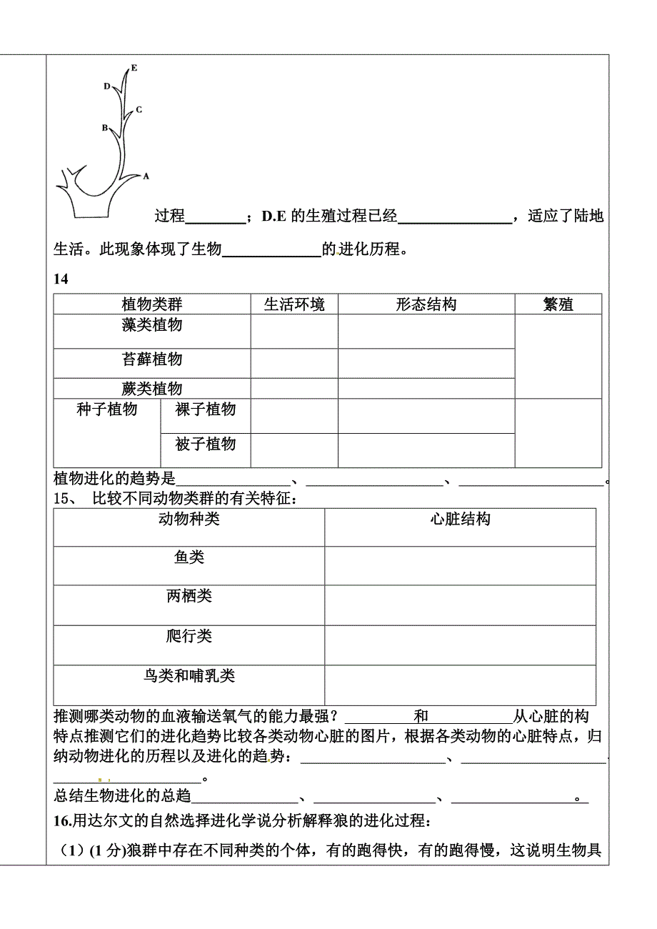 第四章复习康.doc_第3页