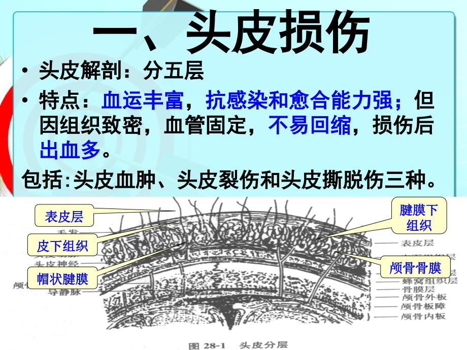 重度颅脑损伤的护理_第4页