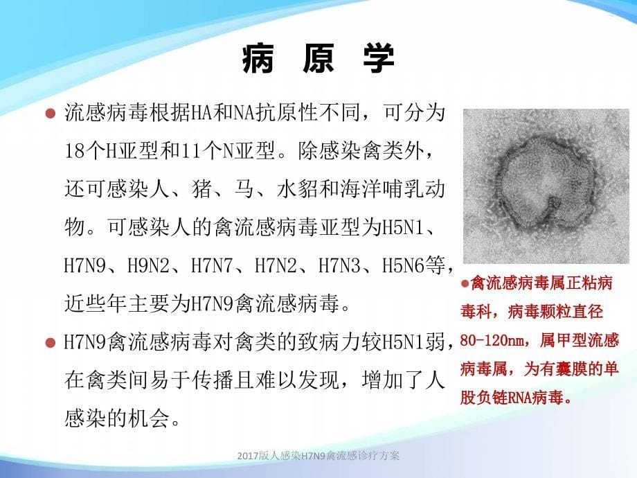 人感染H7N9禽流感诊疗方案课件_第5页