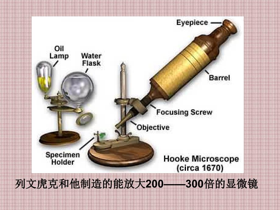 初中生物细菌课件PPT_第4页