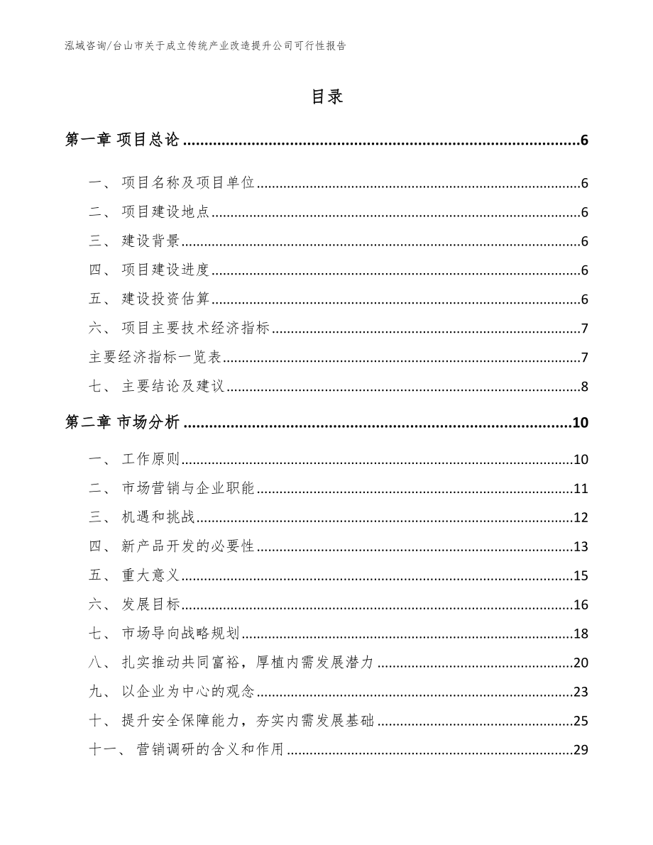 台山市关于成立传统产业改造提升公司可行性报告_模板参考_第1页