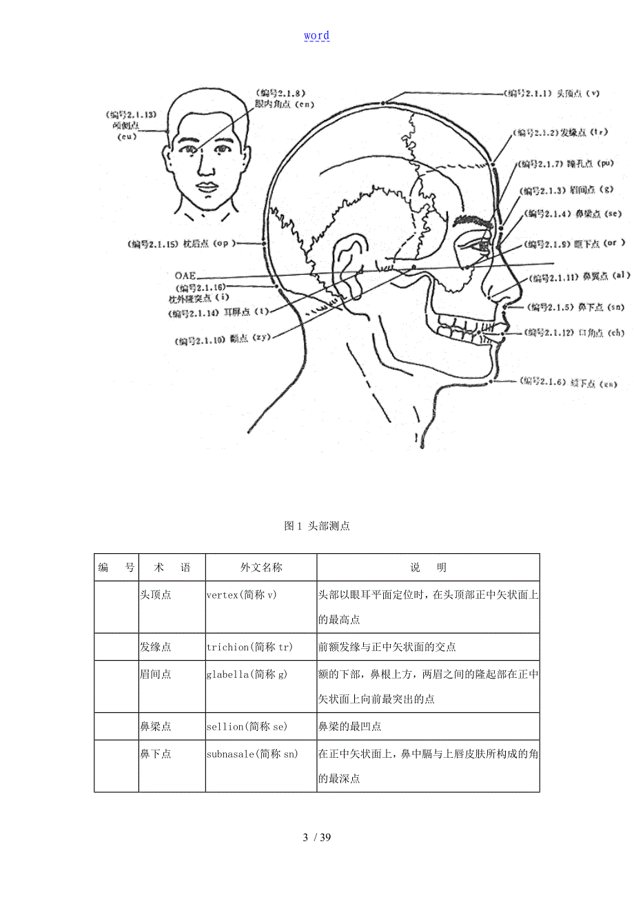 人体测量术语(详细)_第3页