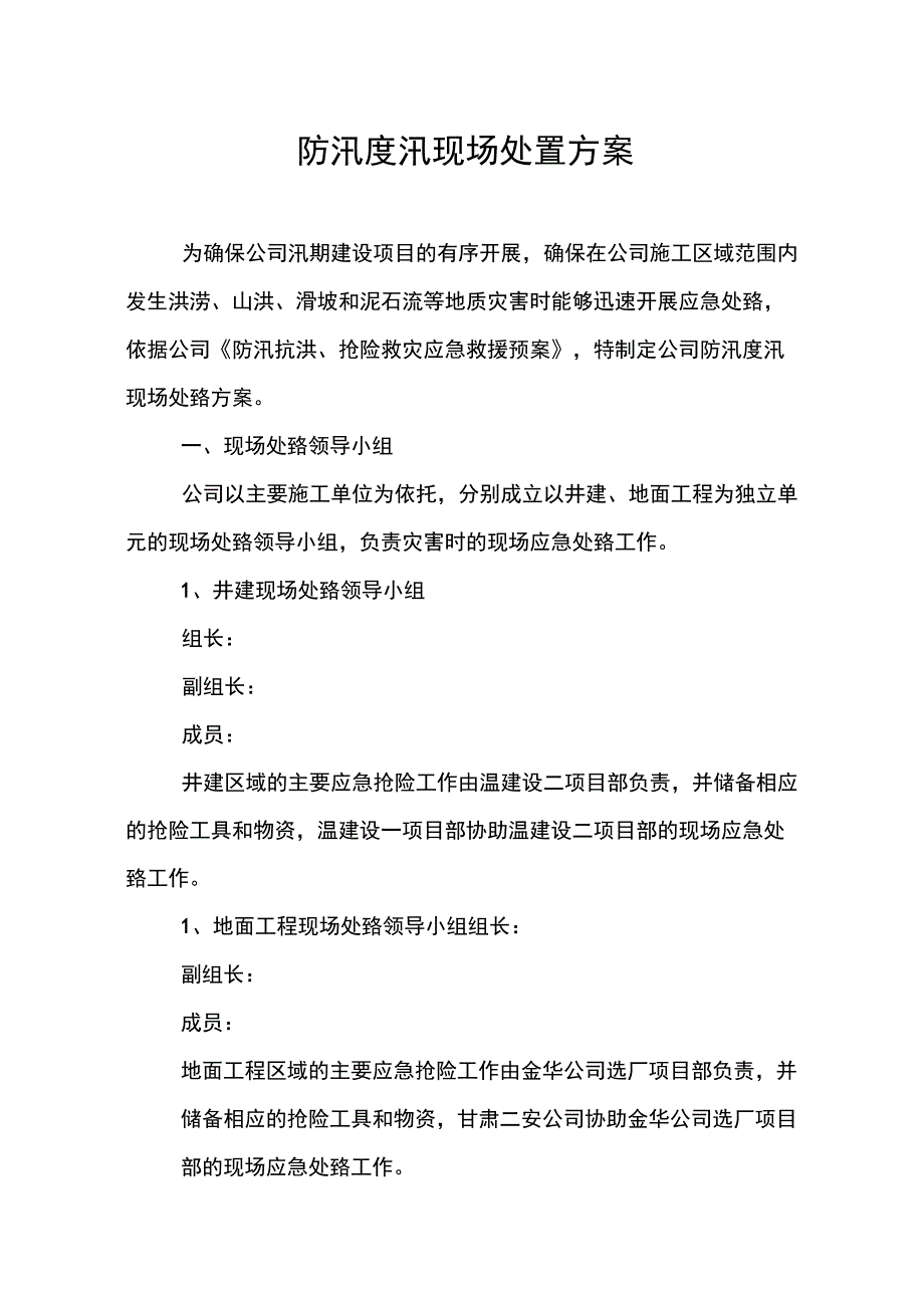 防汛度汛现场处置_第1页