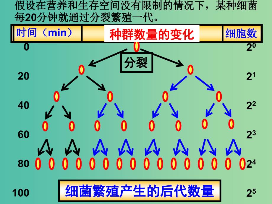 高中生物 4.2 种群数量的变化课件1 新人教版必修3 .ppt_第2页