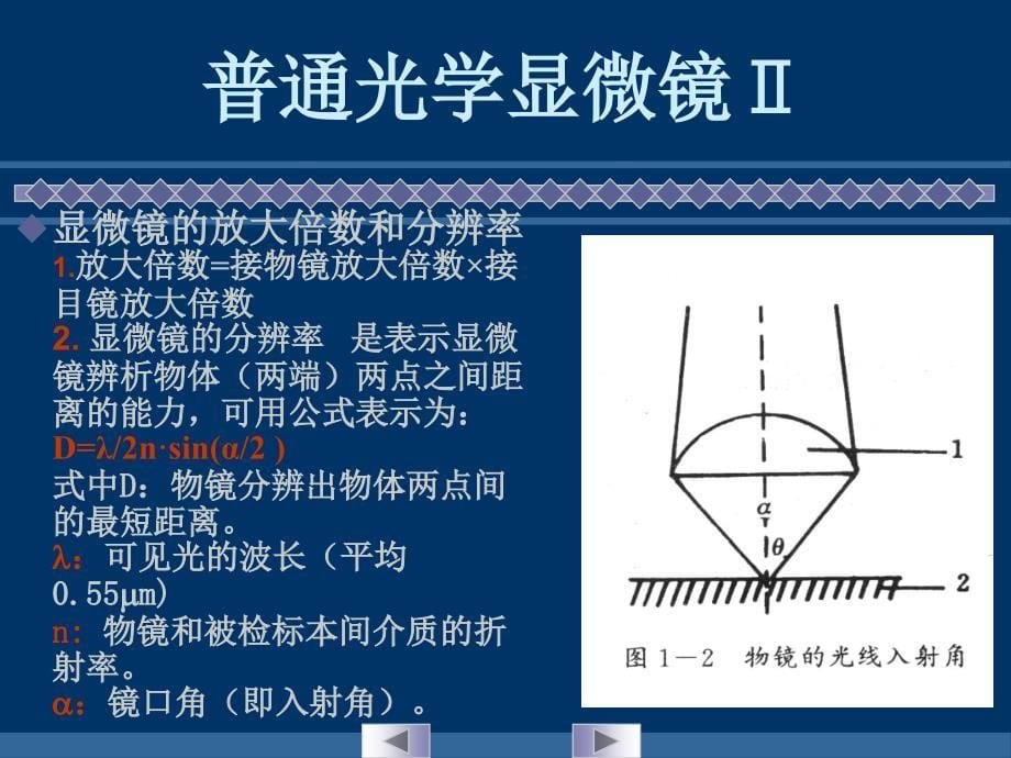 实验一 显微镜油镜的使用和细菌形态的观察教案_第5页