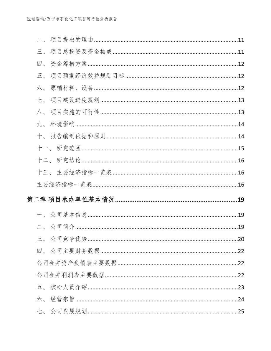 万宁市石化化工项目可行性分析报告【模板参考】_第3页