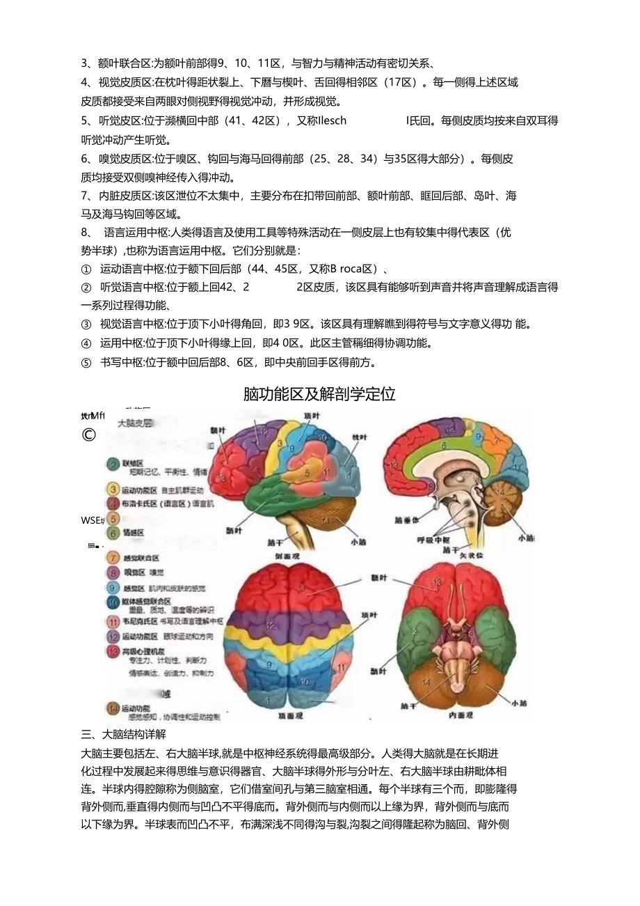 脑的结构与功能_第2页