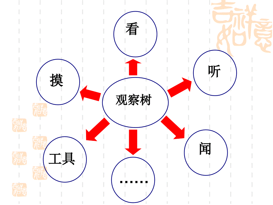 科学三年级上教科版12校园的树木课件_第3页