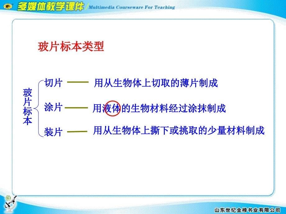 观察植物细胞2_第5页