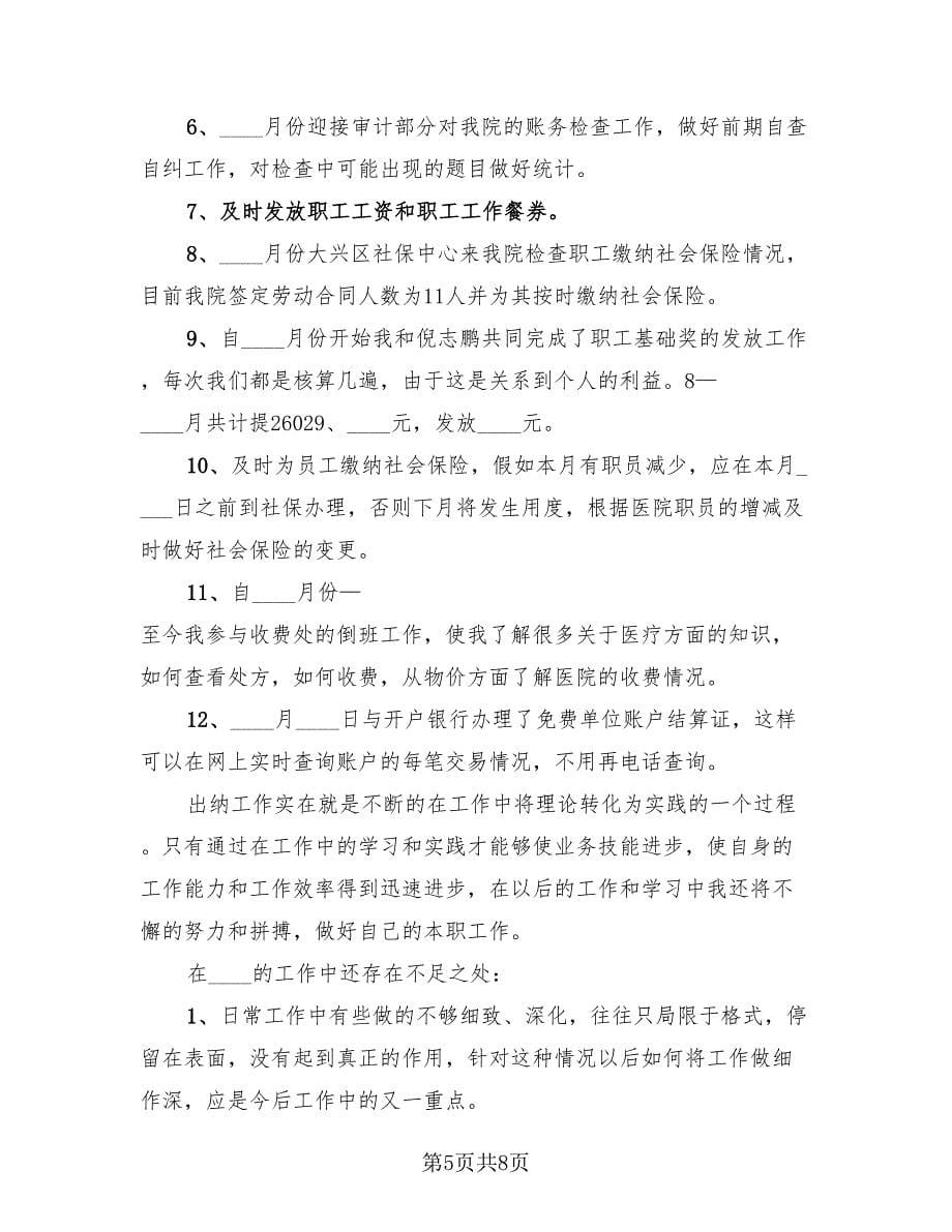 出纳个人工作总结标准范文（2篇）.doc_第5页