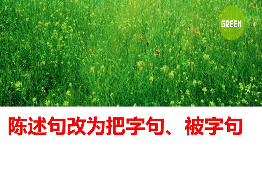 语文陈述句改把被字句复习练习_第1页